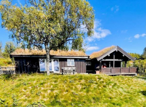Vasethytta - cabin with a lovely view Ulnes